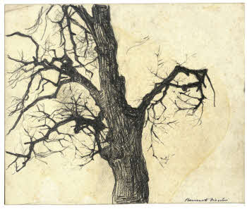 Visualizza l'immagine "FD D 2740"